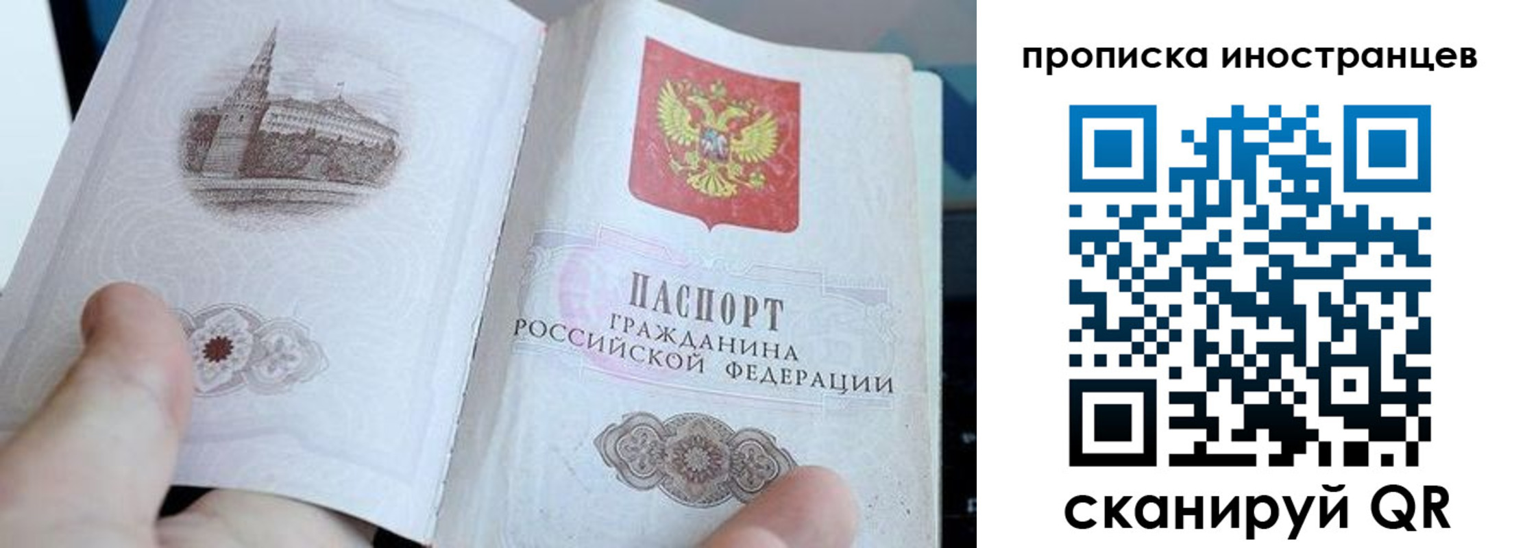 прописка поиск в Берёзовском